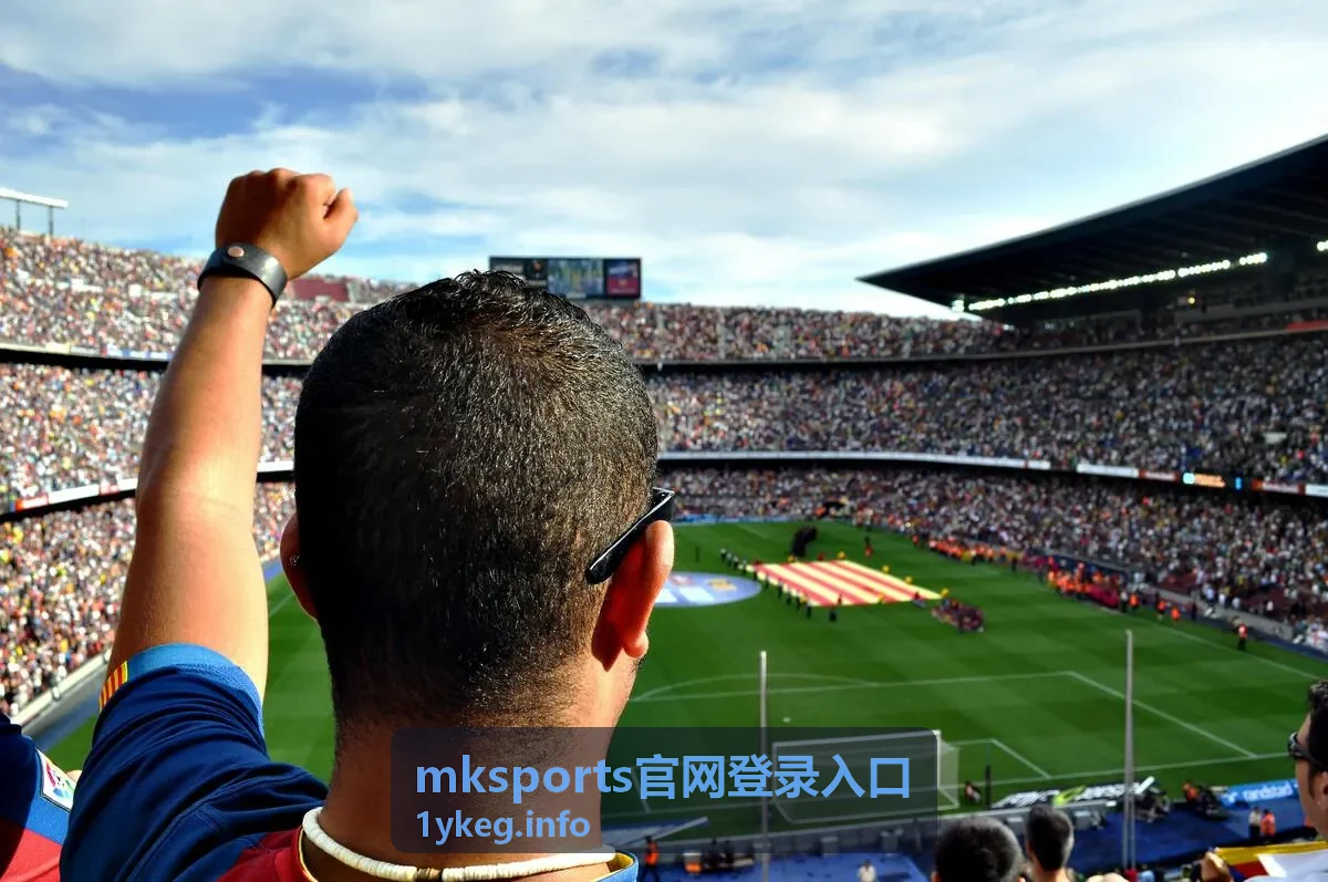 mksports官网登录入口账号验证步骤说明